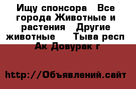 Ищу спонсора - Все города Животные и растения » Другие животные   . Тыва респ.,Ак-Довурак г.